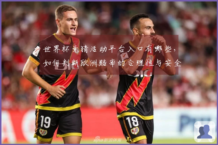 世界杯竞猜活动平台入口有哪些，如何判断欧洲赔率的合理性与安全性